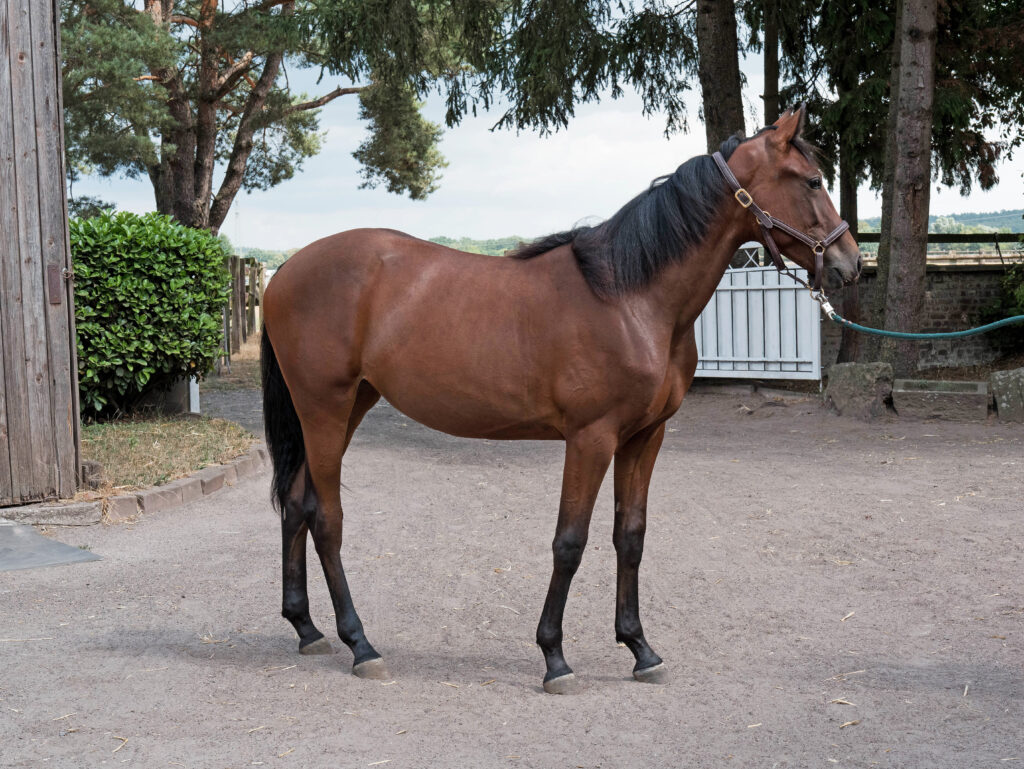 Atalante
